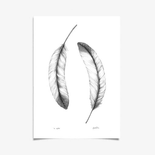 Feather Art Print by Haze Road