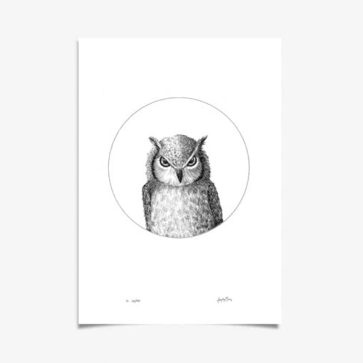 Owl Art Print