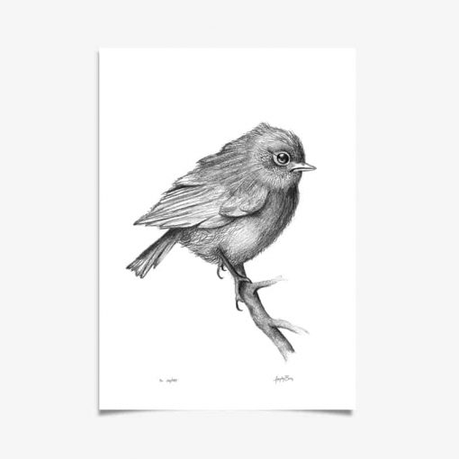 Quirky Bird Art Print