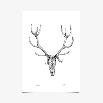 Stag Art Print by Haze Road