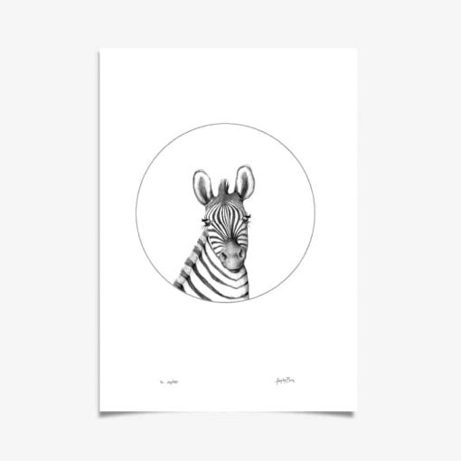 Zebra Art Print By Haze Road