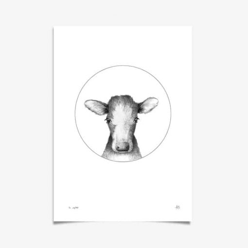 Calf Art Print